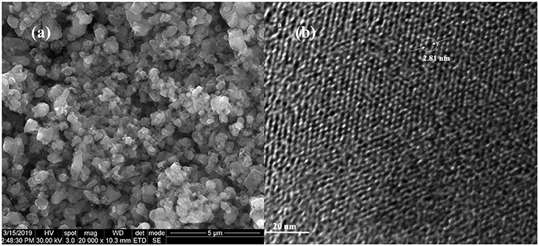 Sem Images Of The Mesoporous Mose2c Composites A And B For Download ...