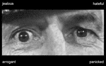 www.frontiersin.org