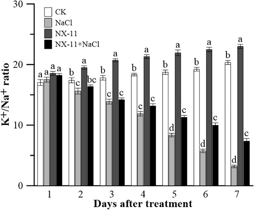 Frontiers | The Endophyte Pantoea alhagi NX-11 Alleviates