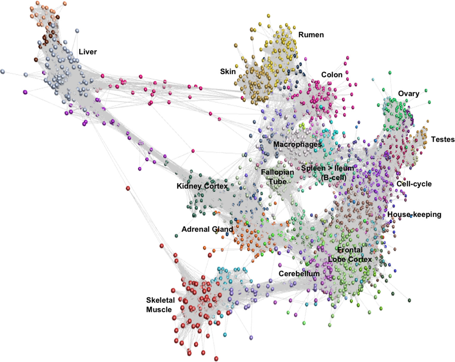 Clusters network. Кластерный анализ. An Atlas of graphs.