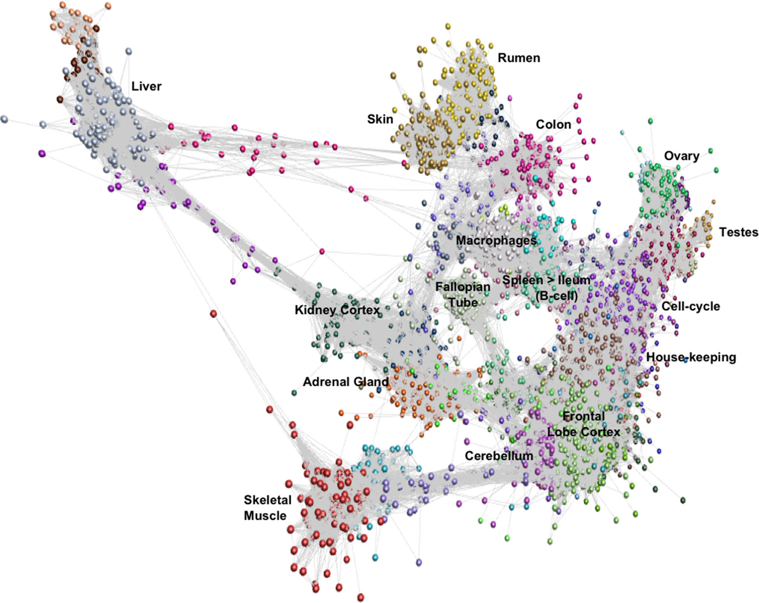 Кластерный анализ. An Atlas of graphs.