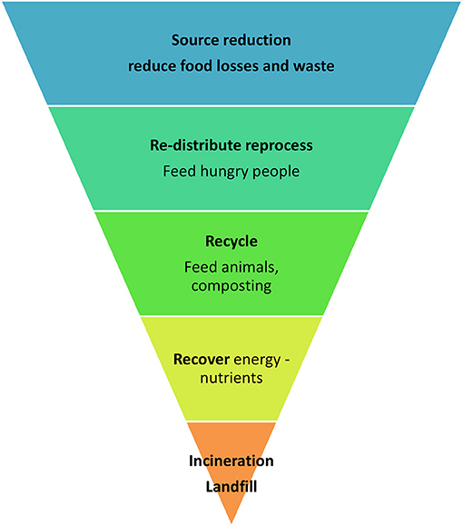 hunger in the third world essay