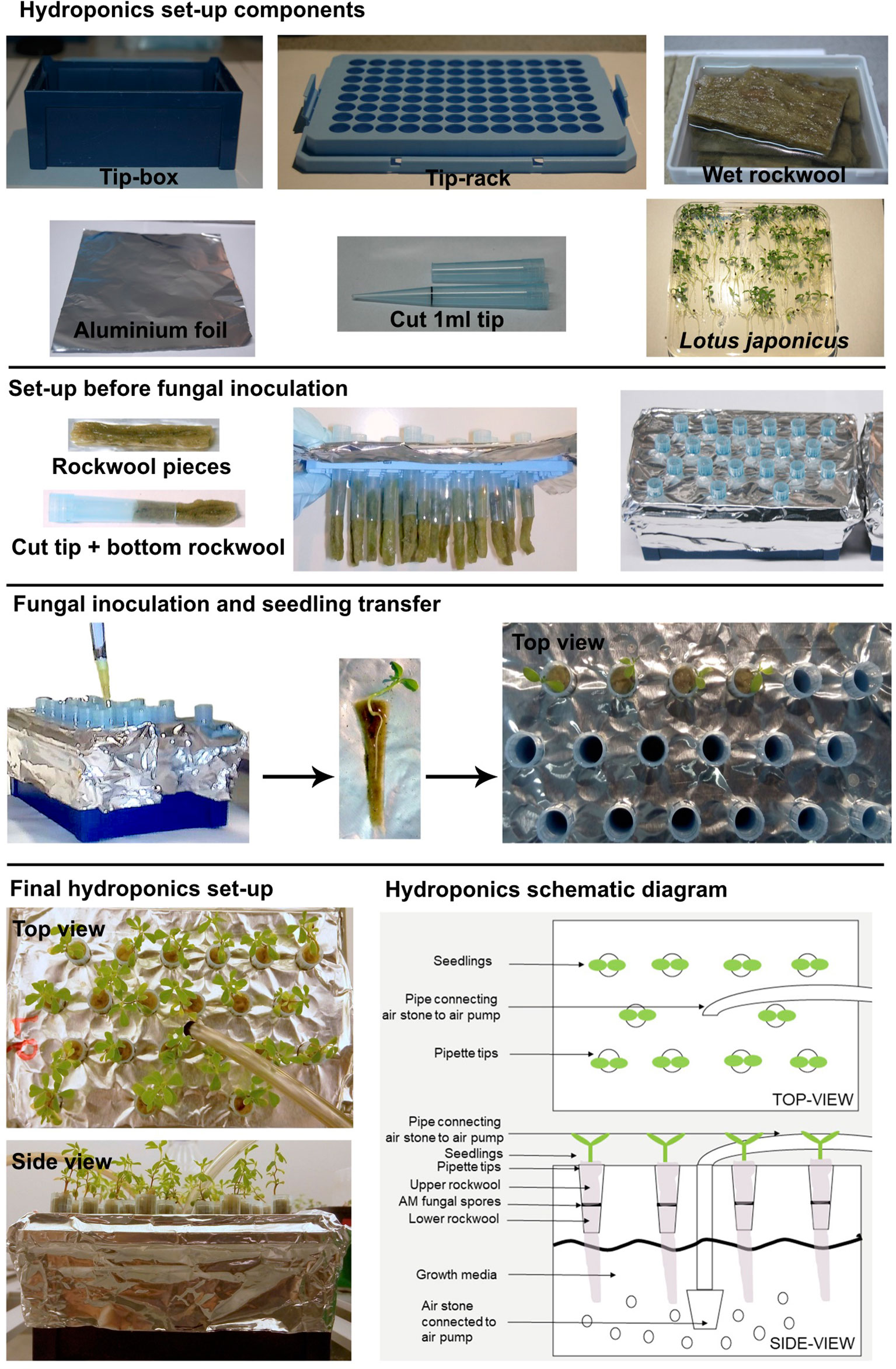 hydroponics research paper pdf