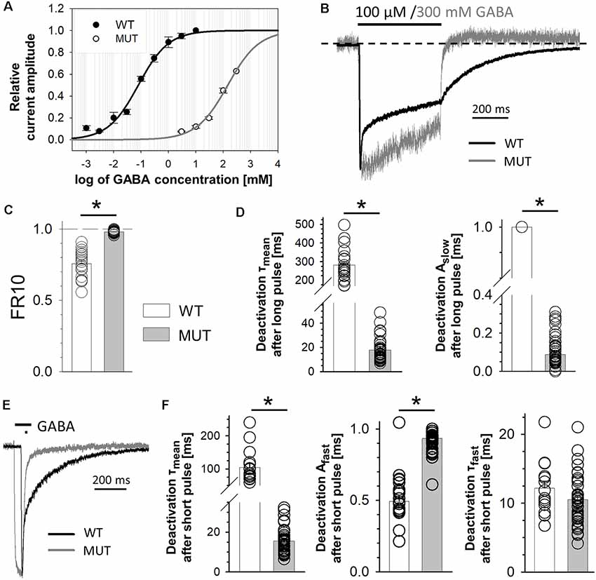 Frontiers Gabaa Receptor B2e155 Residue Located At The Agonist Binding Site Is Involved In The Receptor Gating Cellular Neuroscience