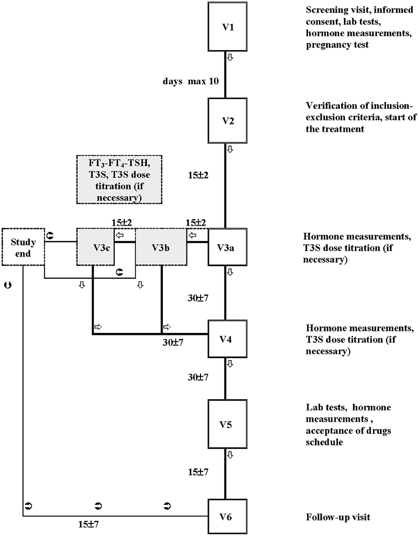 T3 To T4 Conversion Chart