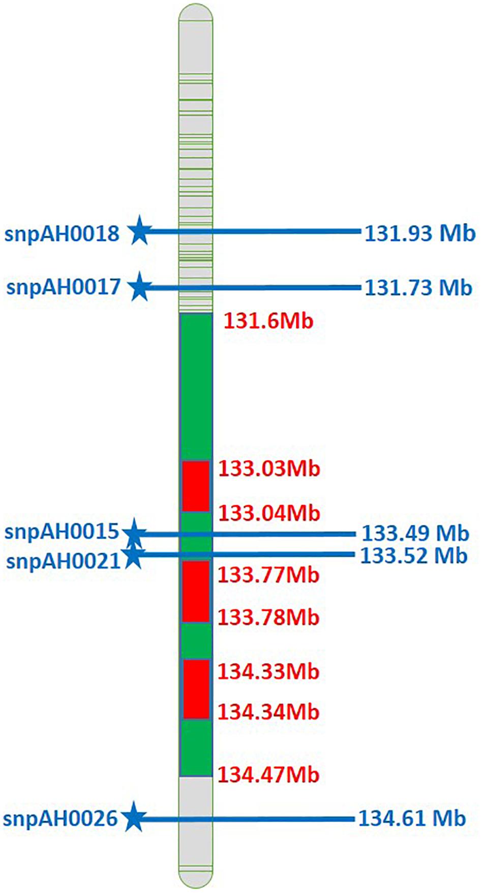 www.frontiersin.org