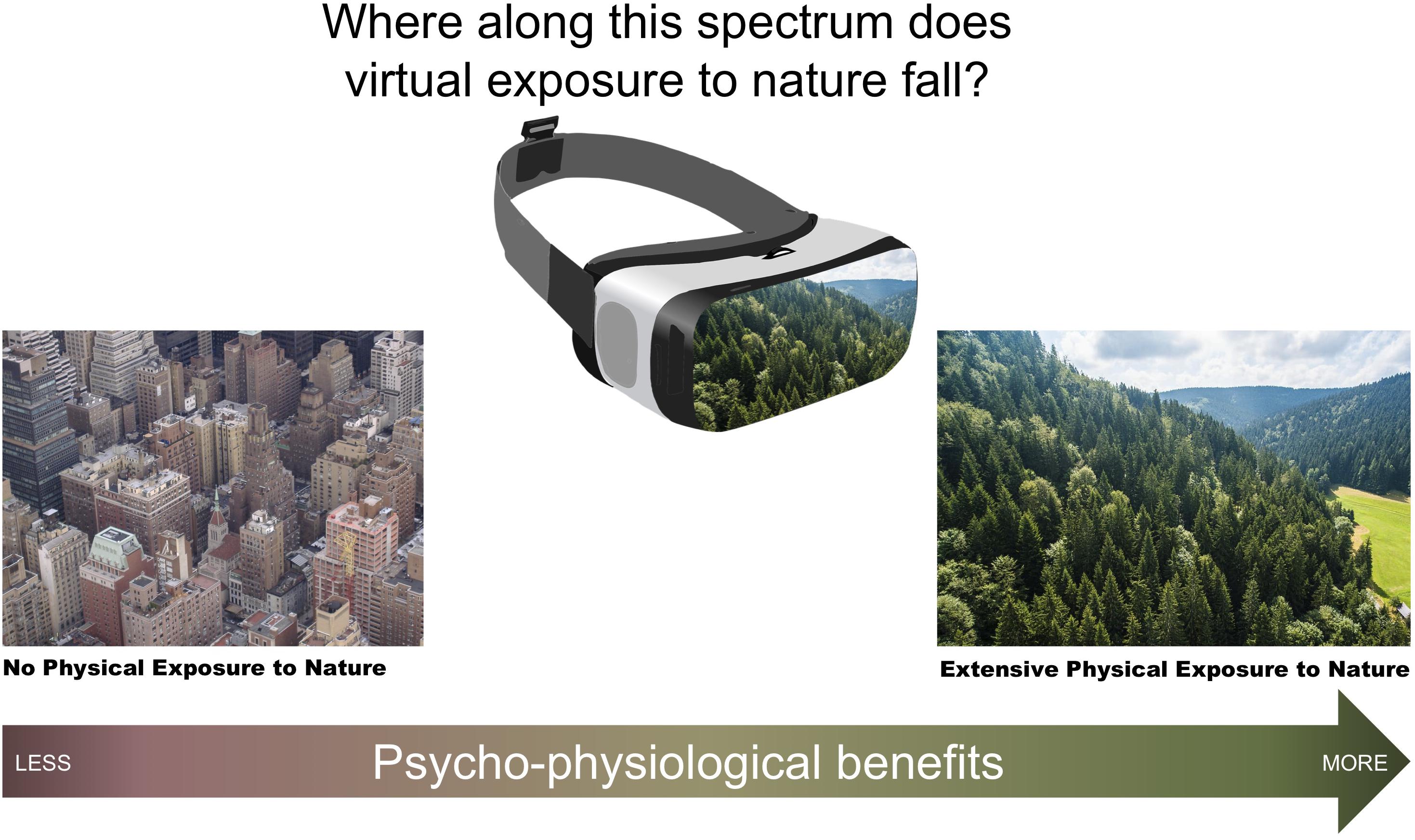 Antagelser, antagelser. Gætte Pointer liste Frontiers | Can Simulated Nature Support Mental Health? Comparing Short,  Single-Doses of 360-Degree Nature Videos in Virtual Reality With the  Outdoors | Psychology