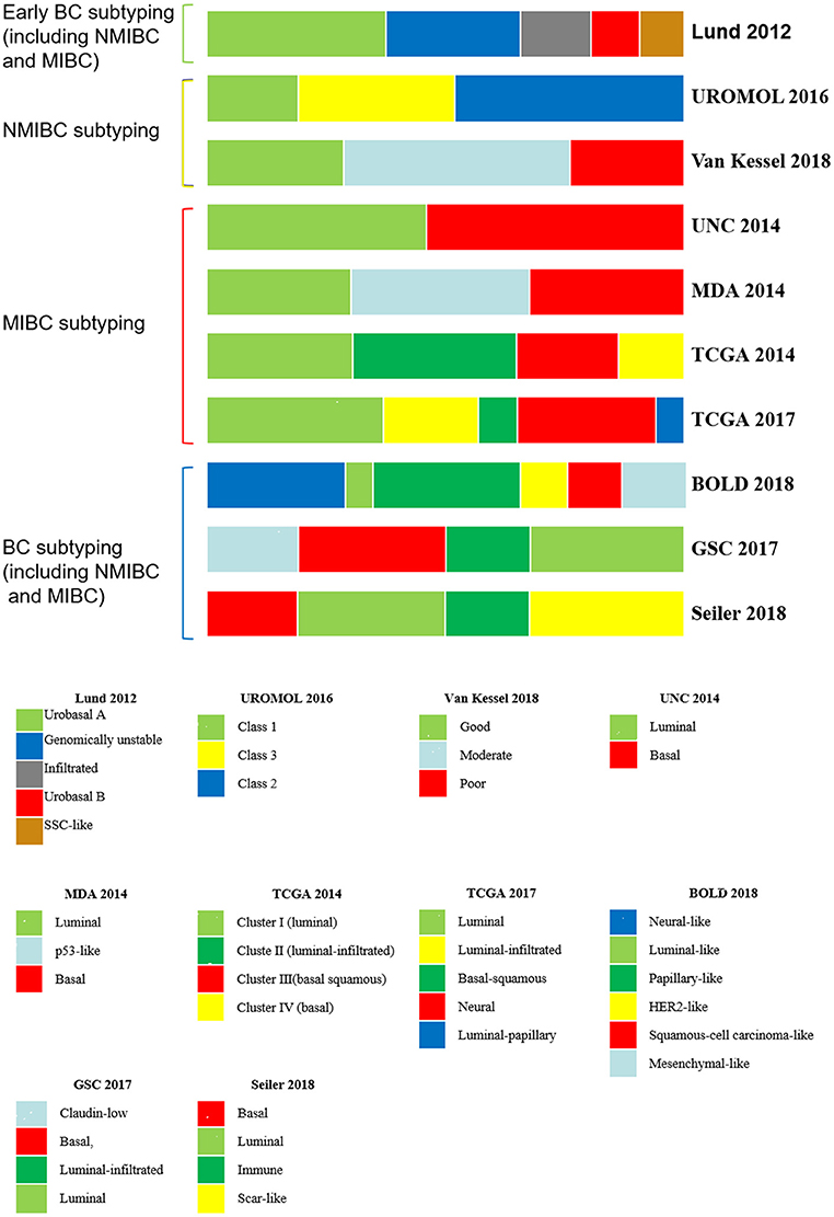 Frontiers Traditional Classification And Novel Subtyping Systems For Bladder Cancer Oncology