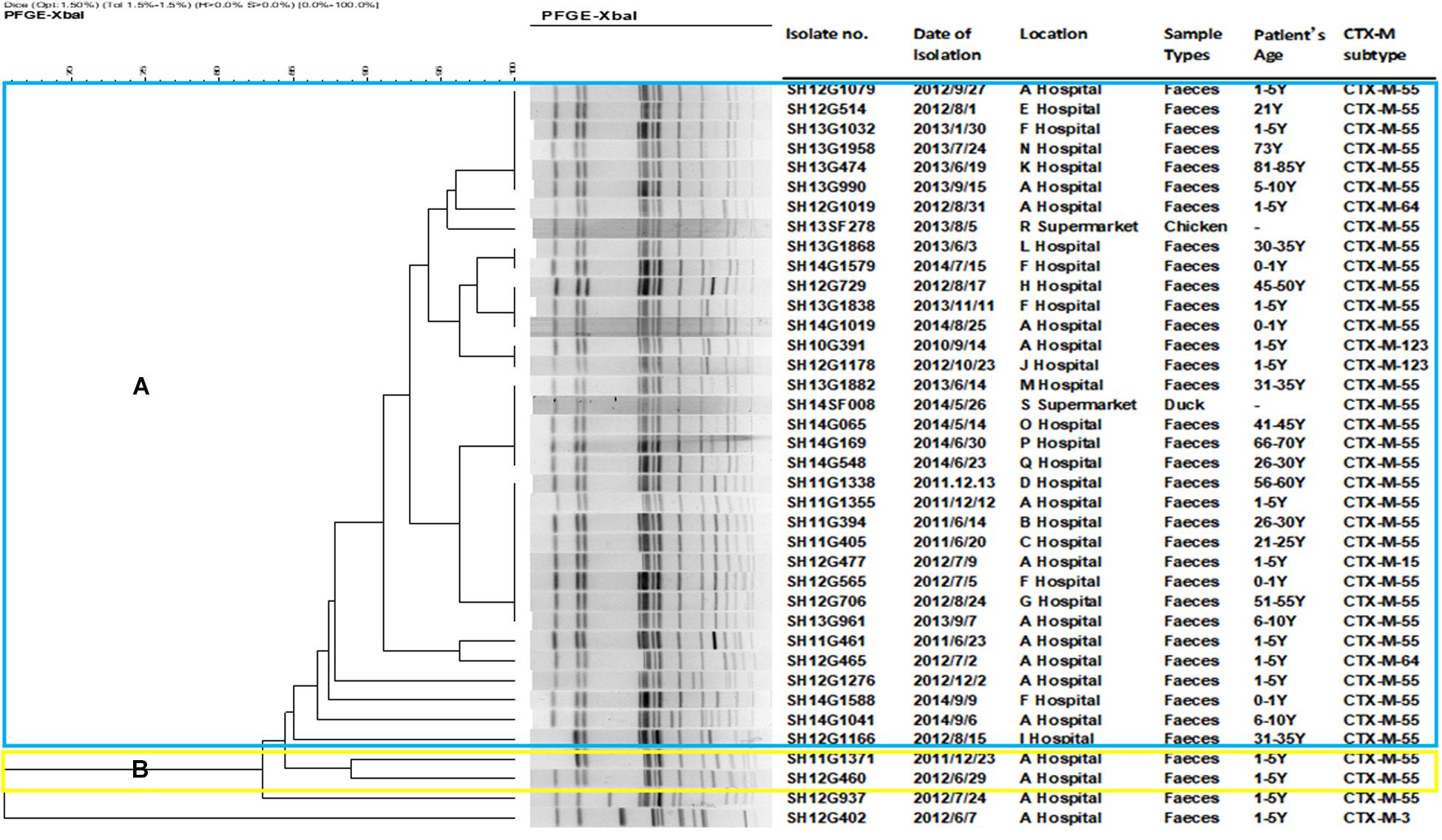 Frontiers Fourth Generation Cephalosporin Resistance Among Salmonella Enterica Serovar Enteritidis Isolates In Shanghai China Conferred By Blactx M 55 Harboring Plasmids Microbiology