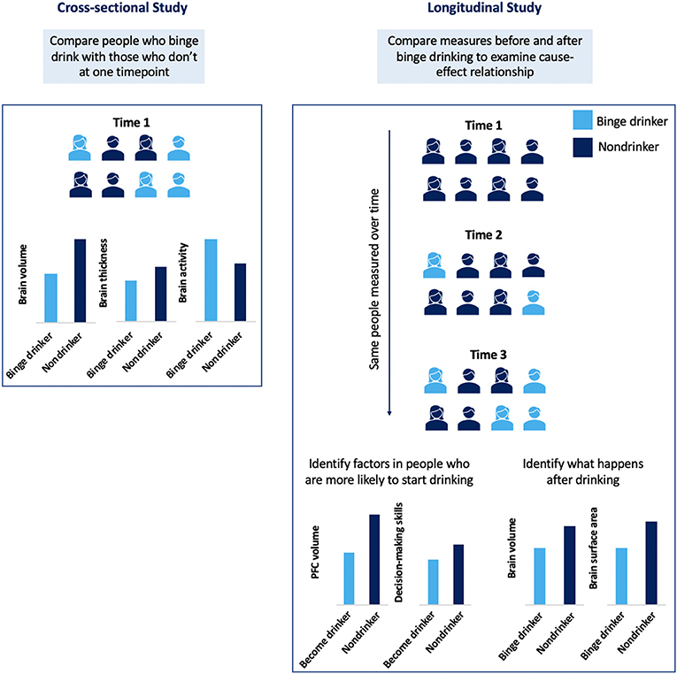 Figure 2 - Cross-sectional and longitudinal studies.