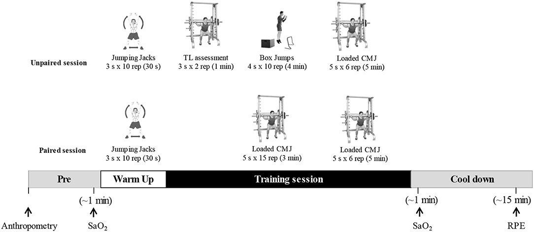 PDF) Peak versus mean propulsive power outputs: which variable is more  related to jump squat performance?