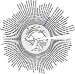 www.frontiersin.org