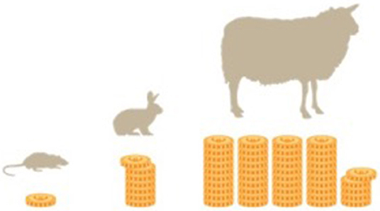 www.frontiersin.org