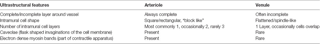 Frontiers Solving An Old Dogma Is It An Arteriole Or A Venule Frontiers In Aging Neuroscience