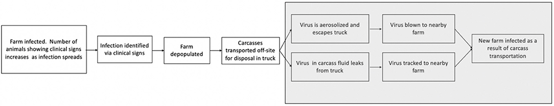 www.frontiersin.org