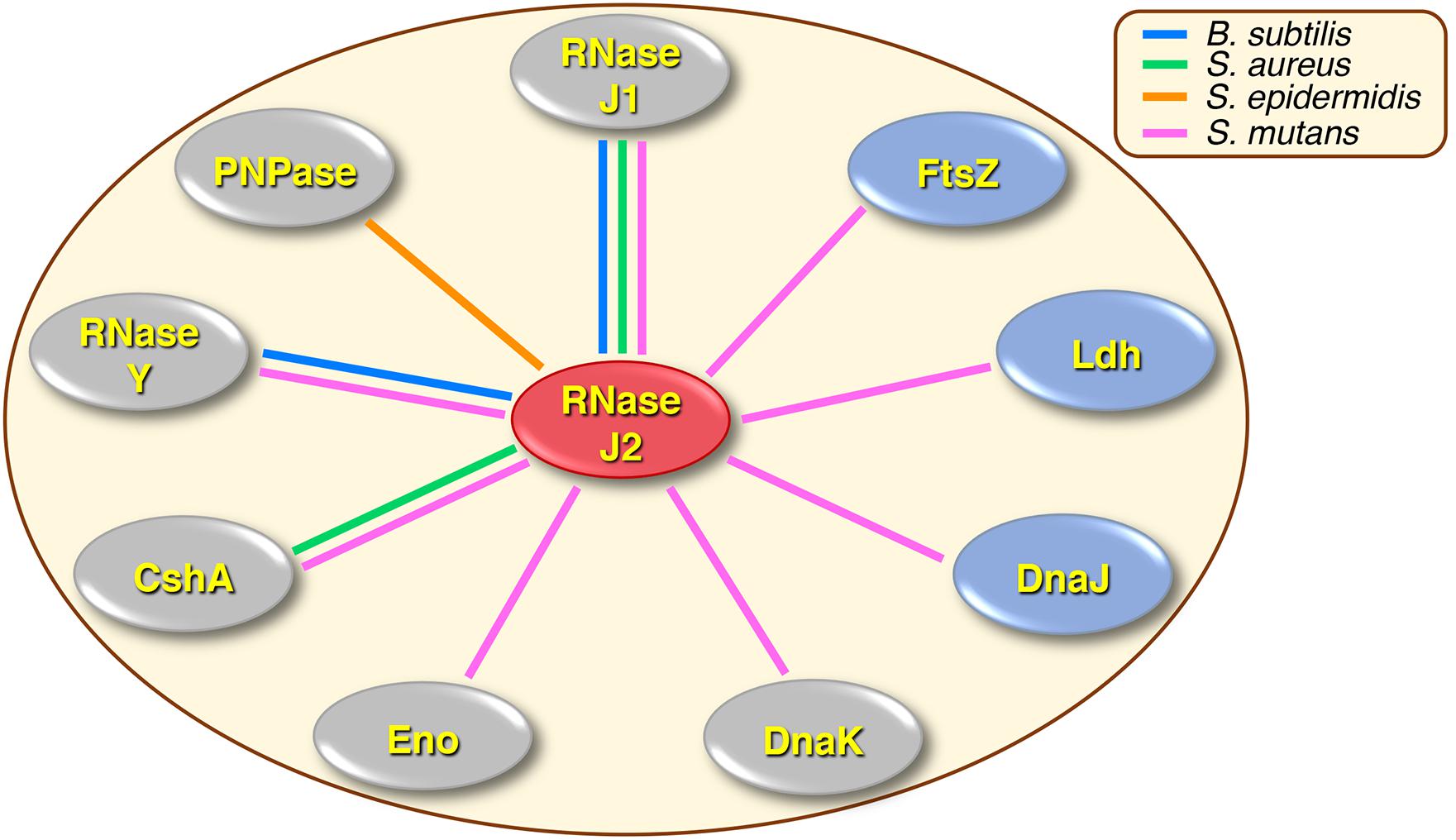 www.frontiersin.org