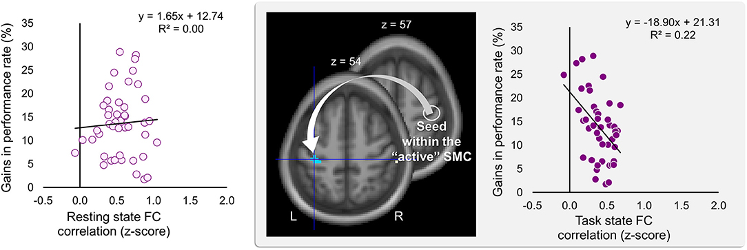 Interhemispheric competition during sleep