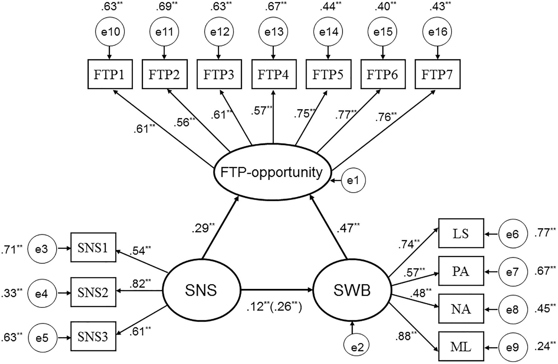 Descriptive statistics of the SMWEB meaningful dimensions in the First