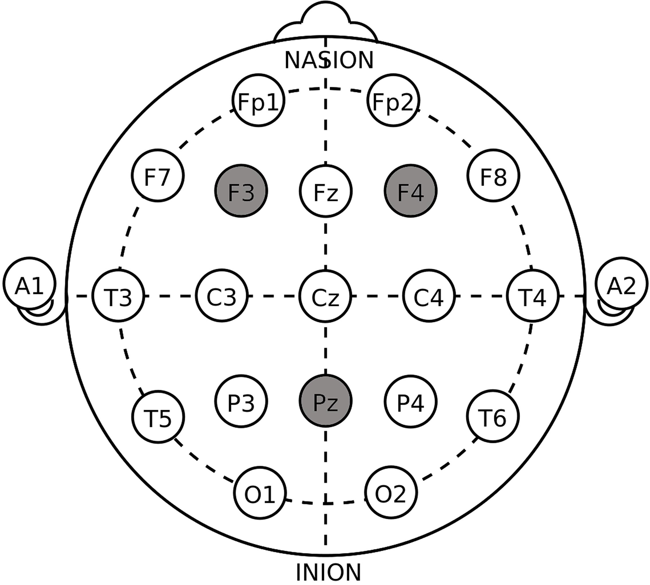 www.frontiersin.org