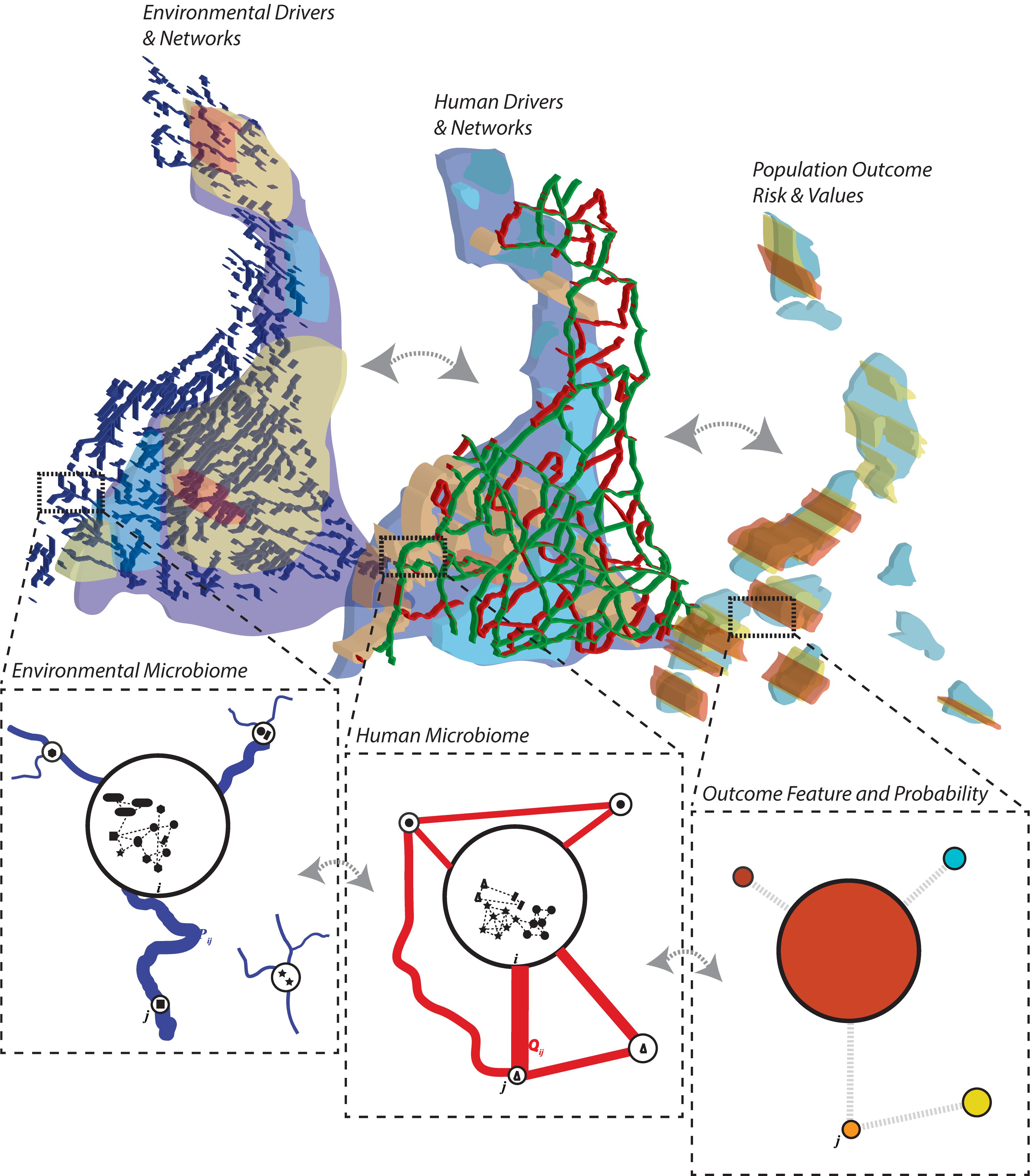 Frontiers  New Insights Into Microbiota Modulation-Based