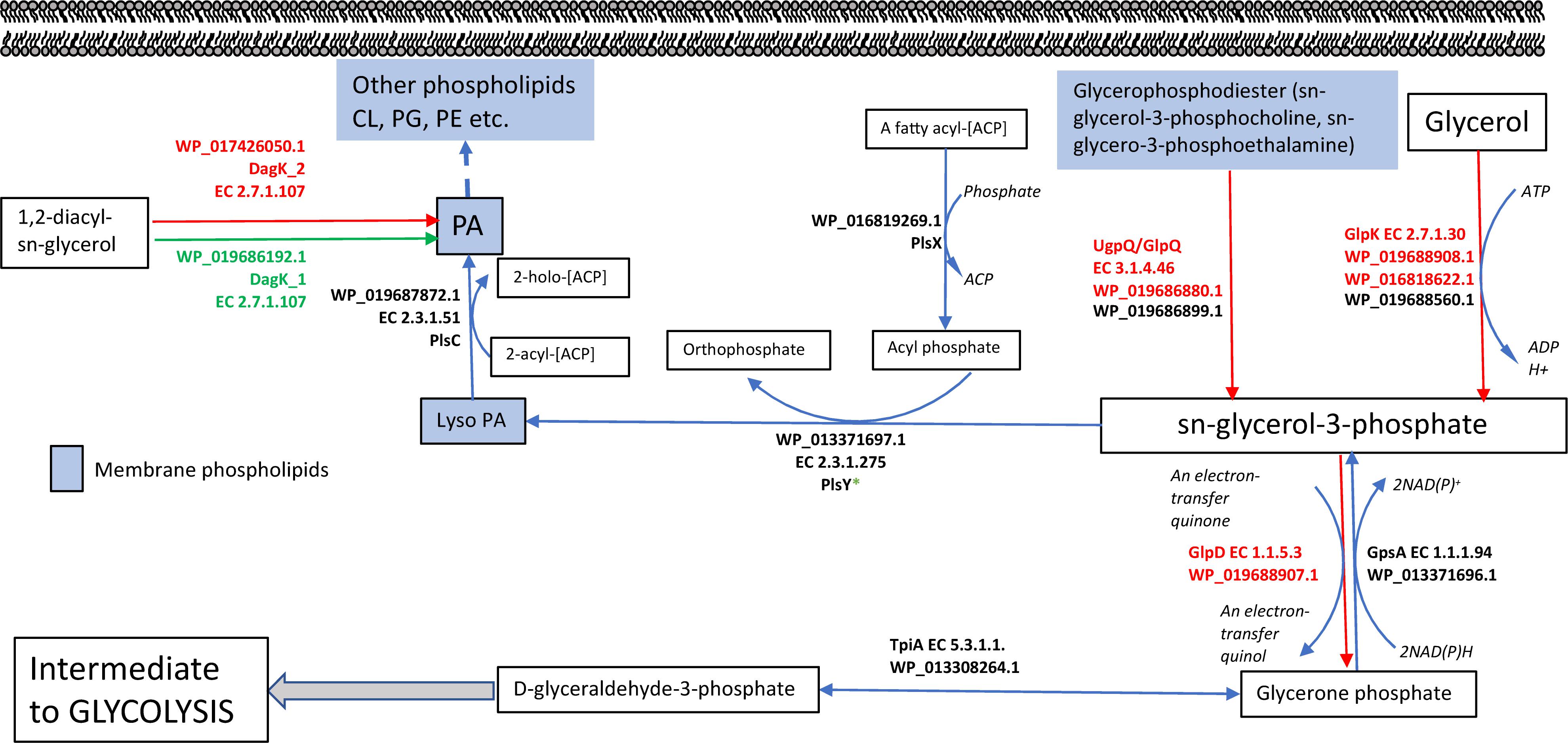 Doe Rl Organization Chart