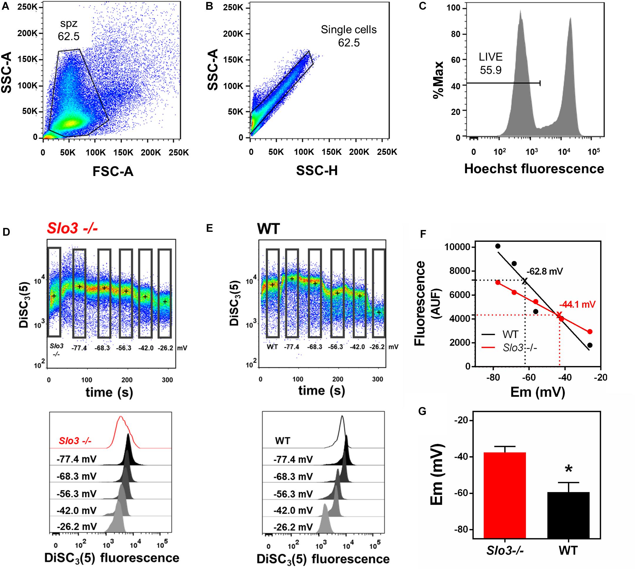 Frontiers Membrane Potential Determined By Flow Cytometry Predicts Fertilizing Ability Of Human Sperm Cell And Developmental Biology