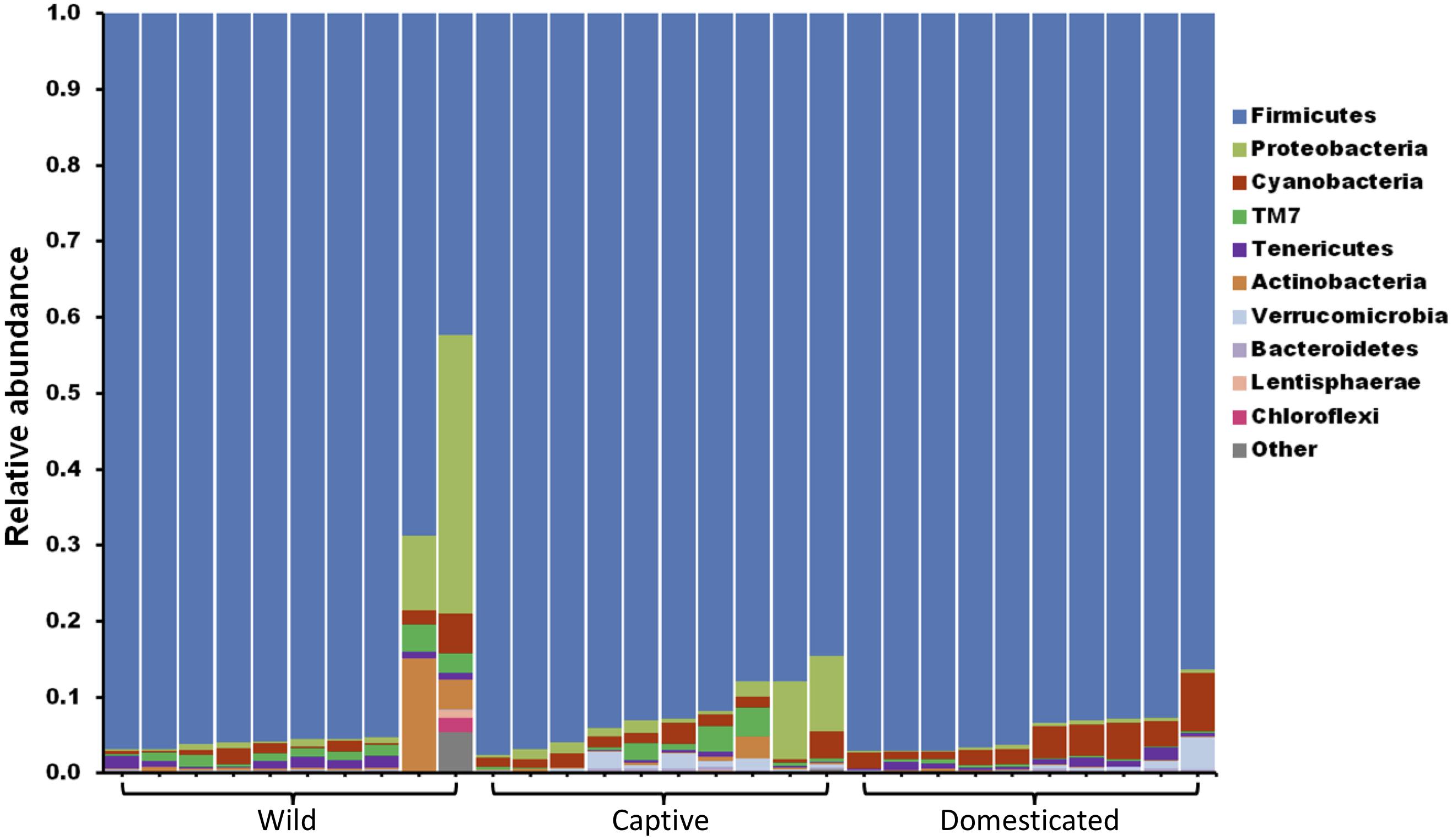 Into the Wild: Animal Microbiomes in Conservation