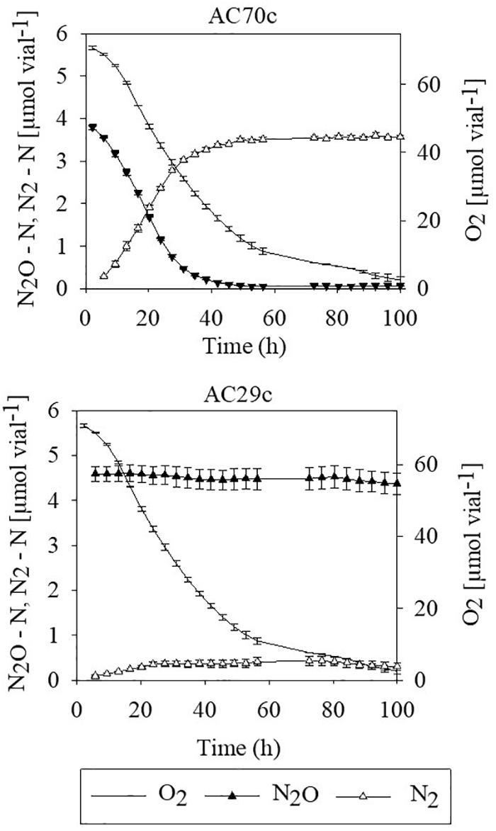 A Study on the N2O Reduction Rate According to Temperature and