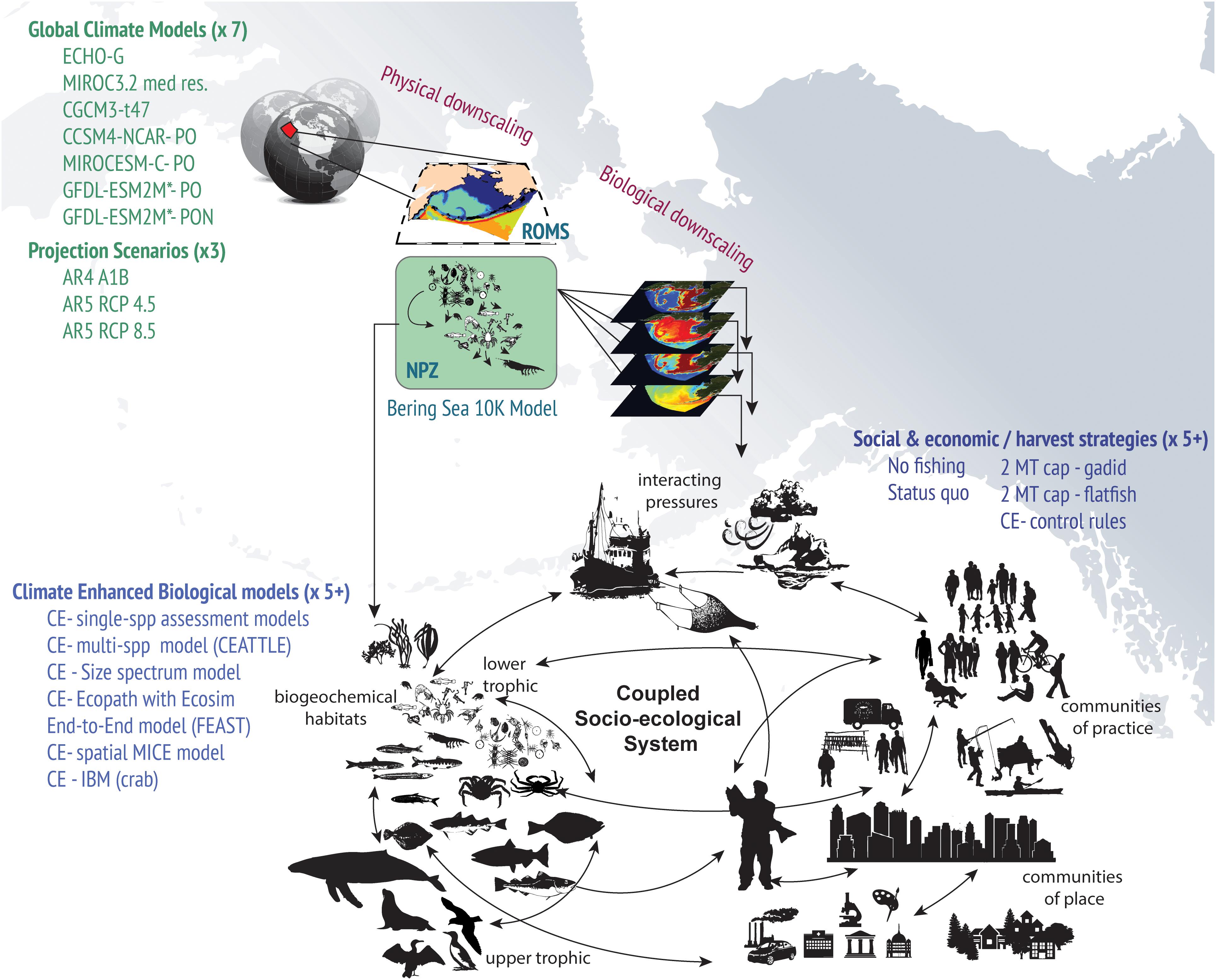 Frontiers  Integrated Modeling to Evaluate Climate Change Impacts on  Coupled Social-Ecological Systems in Alaska
