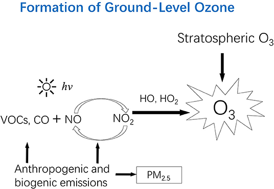 Frontiers | Ozone Pollution: A Major Health Hazard Worldwide