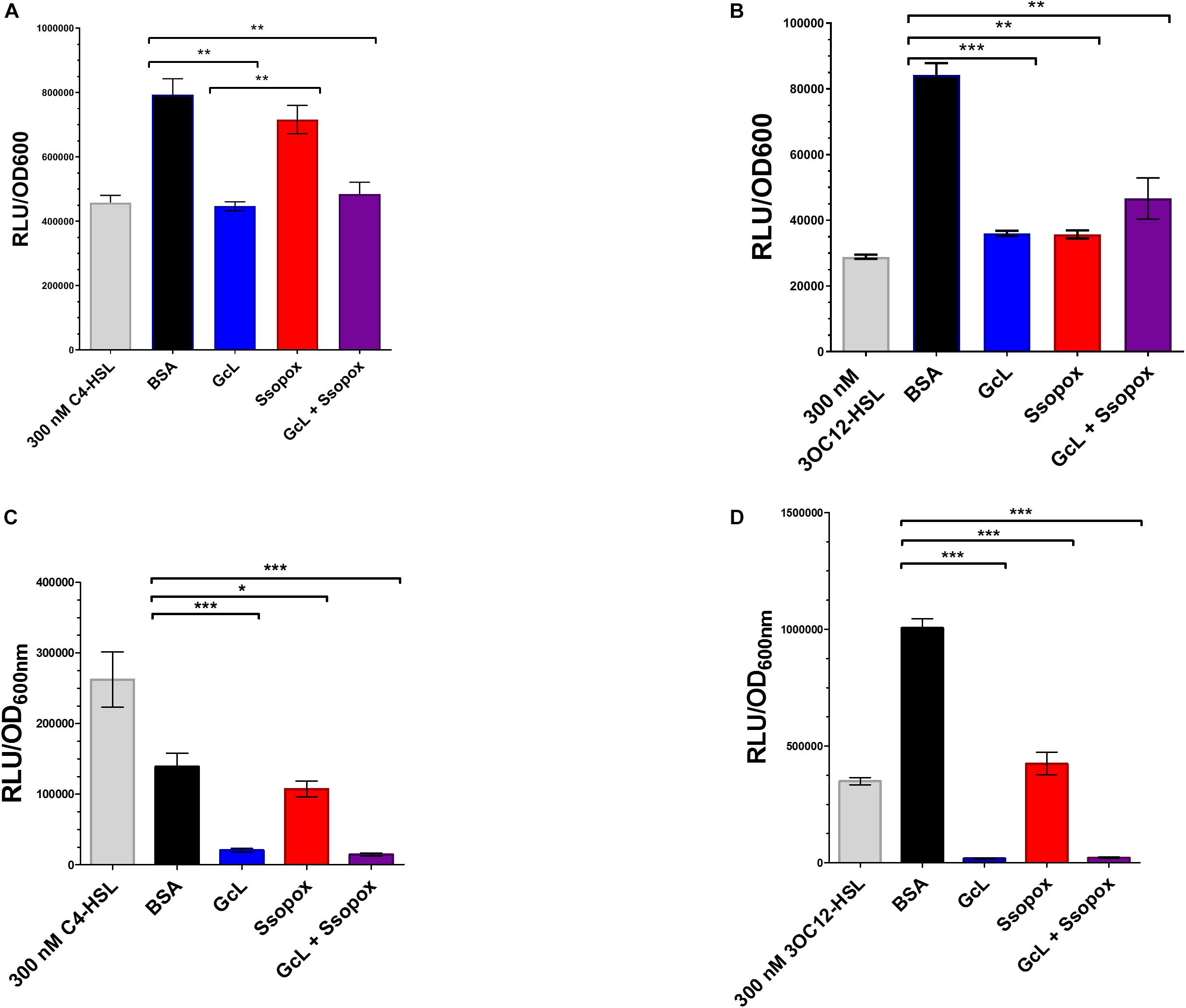 Comparison of AaL active site with AiiA, AiiB, and AidC. (A