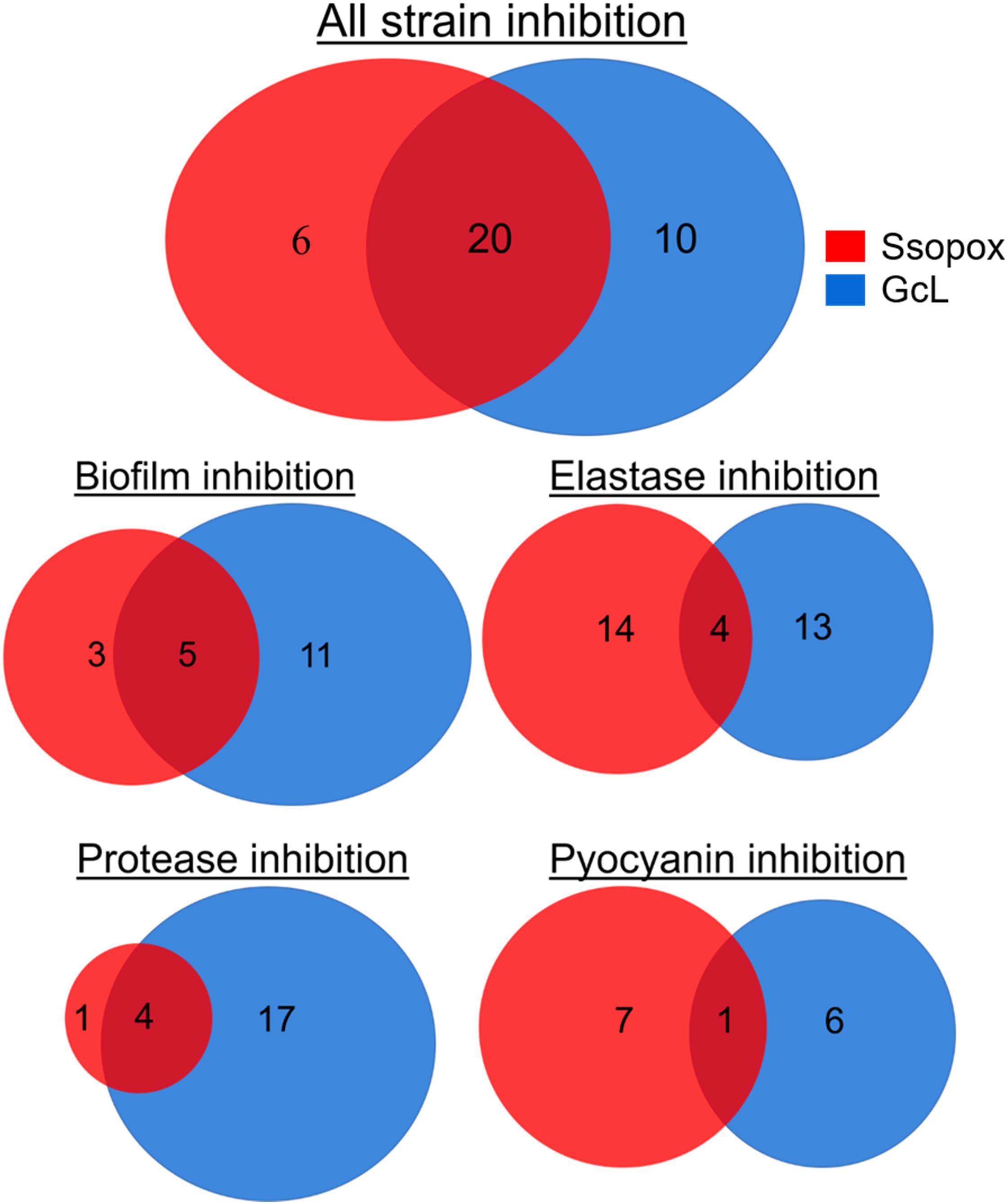 Comparison of AaL active site with AiiA, AiiB, and AidC. (A