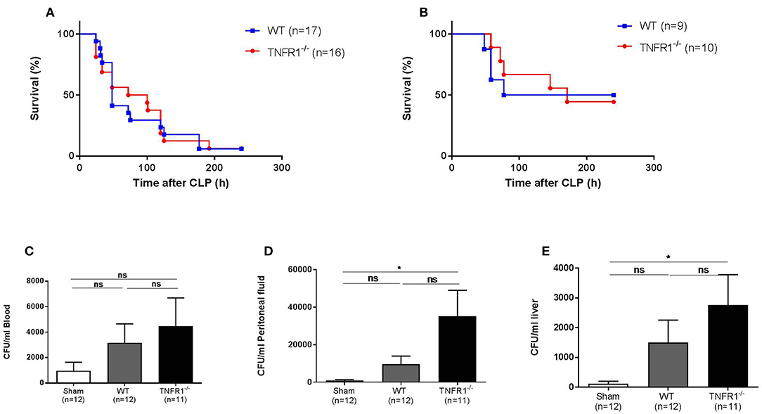 Frontiers A Study Of Cecal Ligation And Puncture Induced Sepsis In Tissue Specific Tumor Necrosis Factor Receptor 1 Deficient Mice Immunology