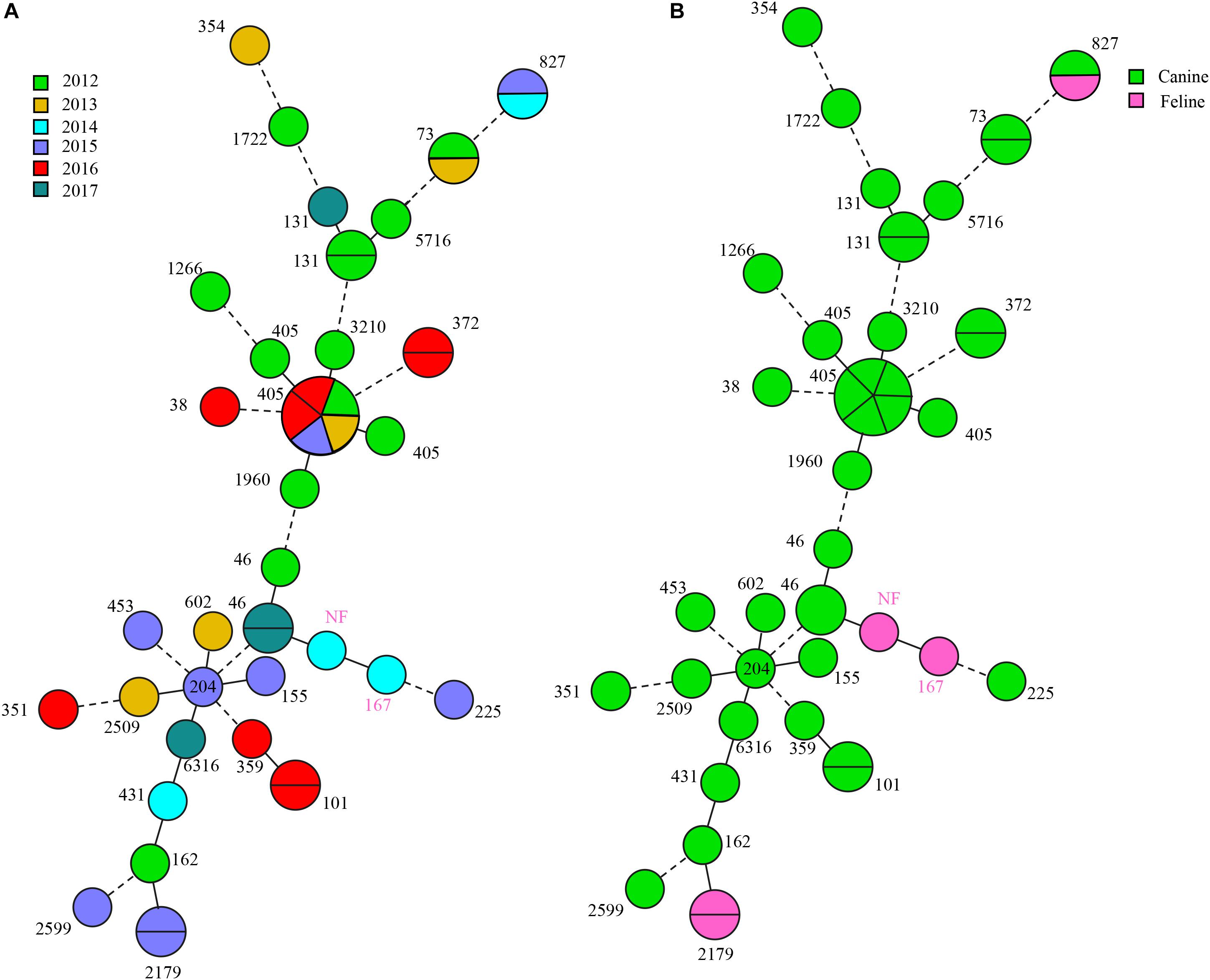 Frontiers | Increasing Prevalence of ESBL-Producing
