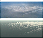 www.frontiersin.org