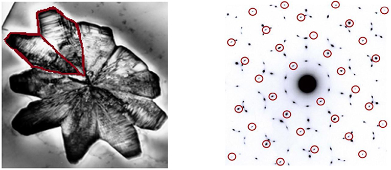 Figure 4 - Twin crystals exhibiting a 5-fold symmetry.