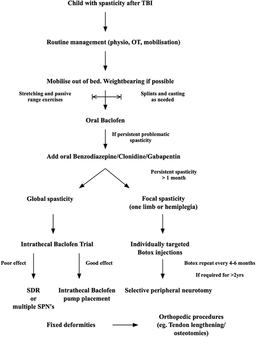 Letter to the Editor: Early seizure prophylaxis in pediatric severe  traumatic brain injury: still a long way to go in: Journal of Neurosurgery:  Pediatrics Volume 19 Issue 3 (2017) Journals