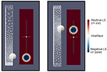 www.frontiersin.org