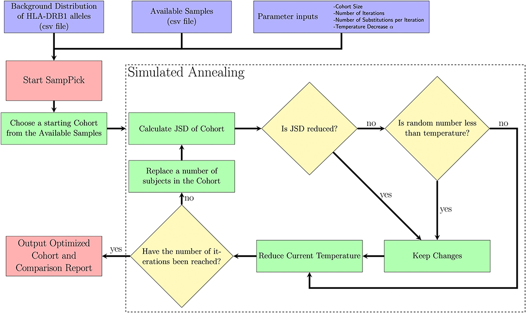 Characterization of the novel HLA‐B*46:41N allele - Zheng - 2020