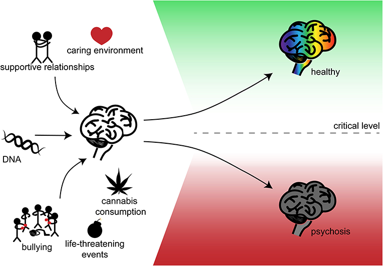Figure 1 - DNA and the environment affect your mental health.