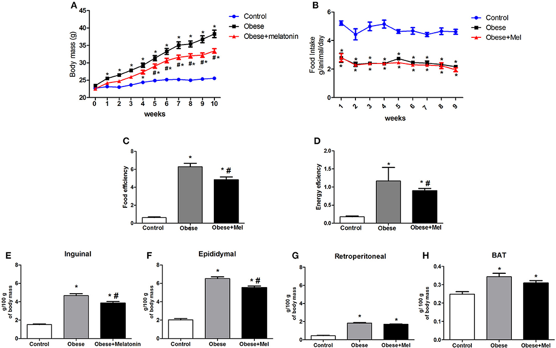 inguinal fat pad response to high fat diet