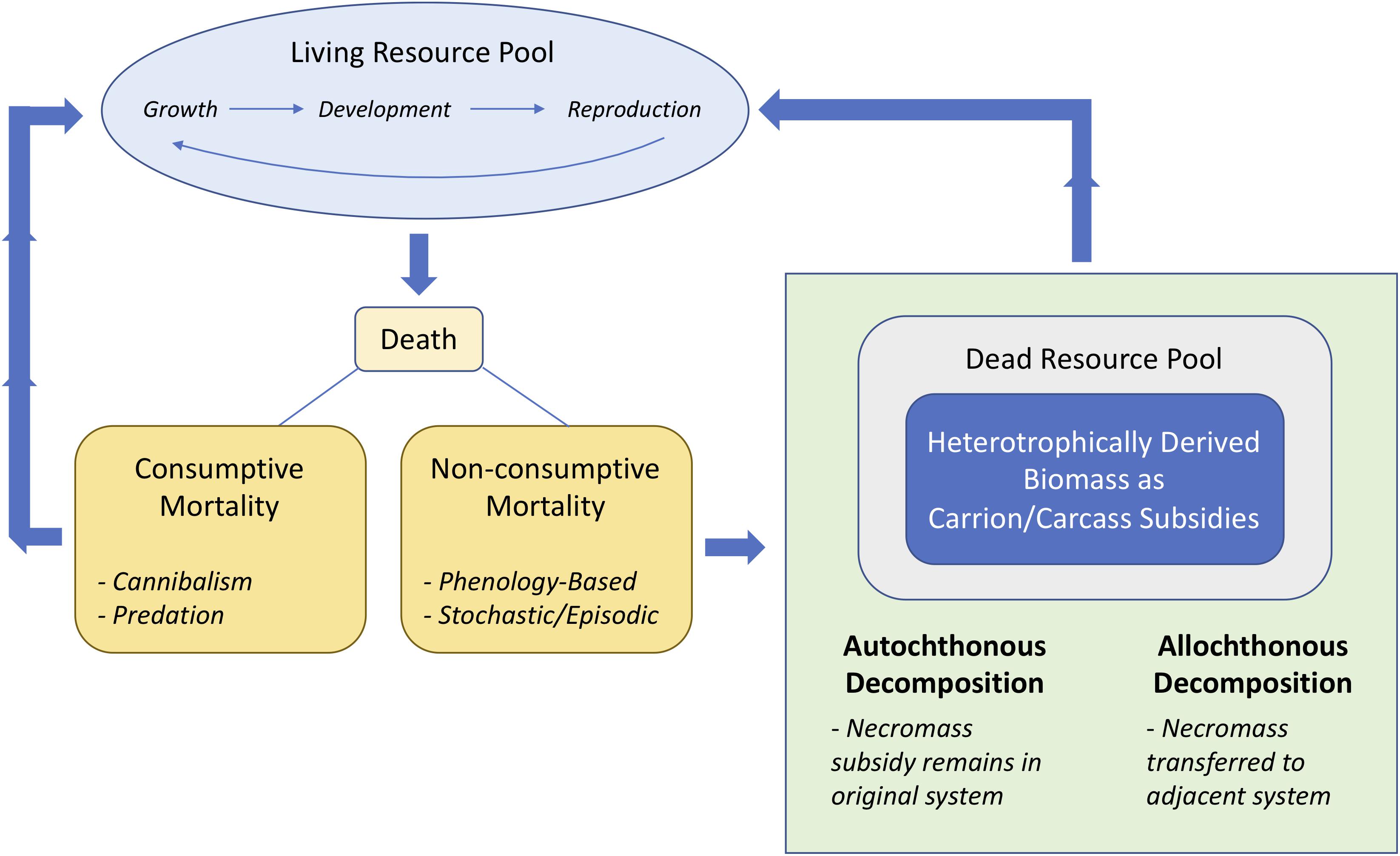 Frontiers | Death and Decomposition in Aquatic Ecosystems