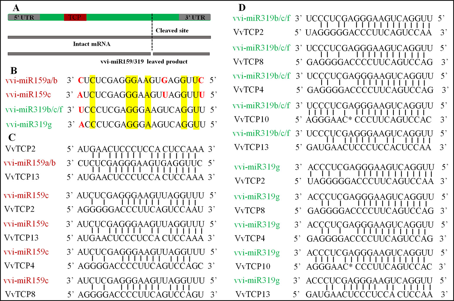 Frontiers | Genome-Wide Identification, Characterization, and ...