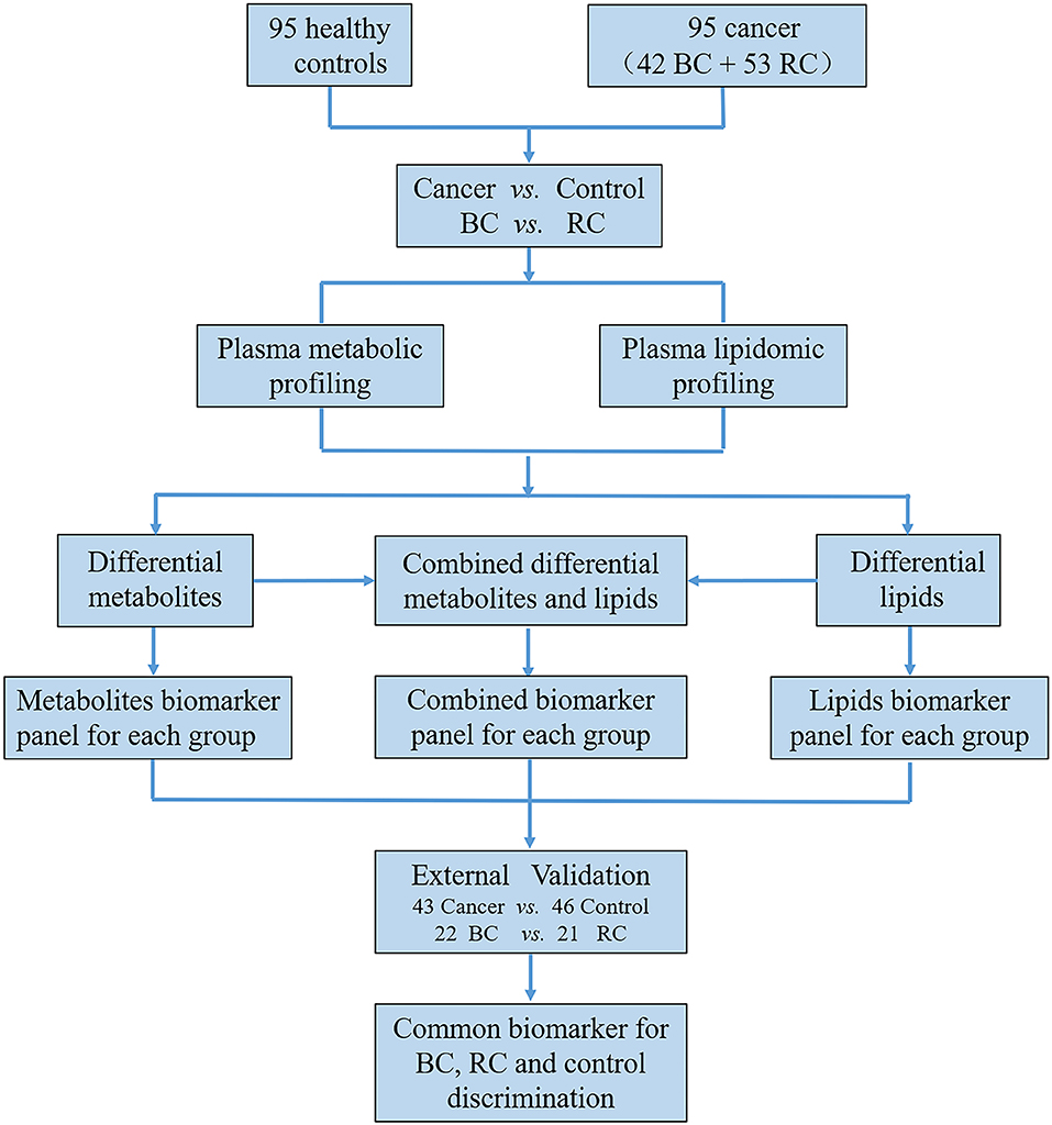 Recurrent Topics in Mass Spectrometry-Based Metabolomics and  Lipidomics—Standardization, Coverage, and Throughput