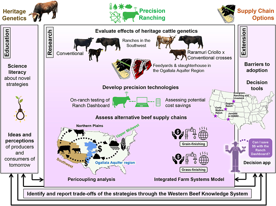 Frontiers | Beef Production in the Southwestern United States: Strategies  Toward Sustainability