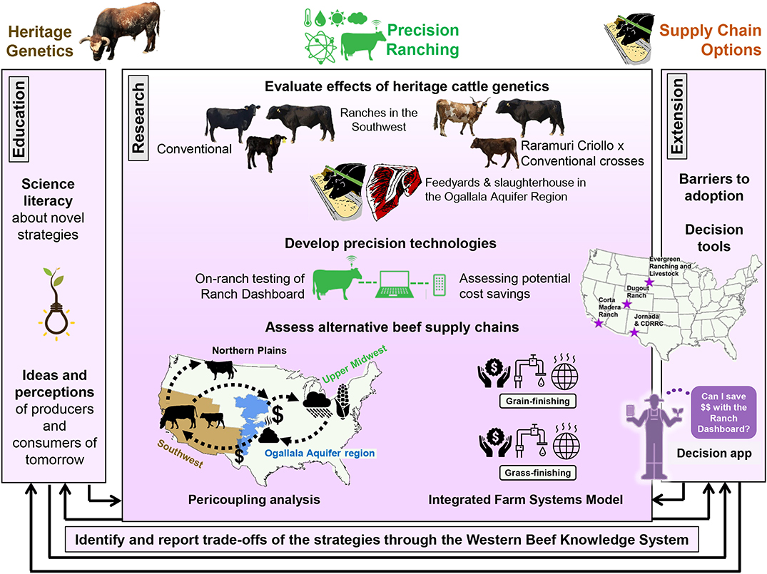 Frontiers | Beef Production in the Southwestern United States: Strategies Toward Sustainability Frontiers | Beef Production in the Southwestern United States: Strategies Toward Sustainability