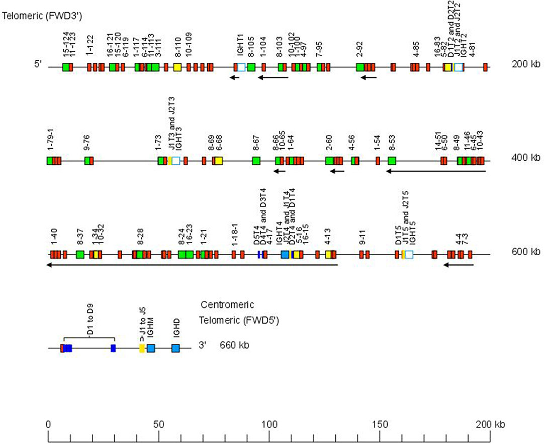 Atlantic Orientation Chart Pdf