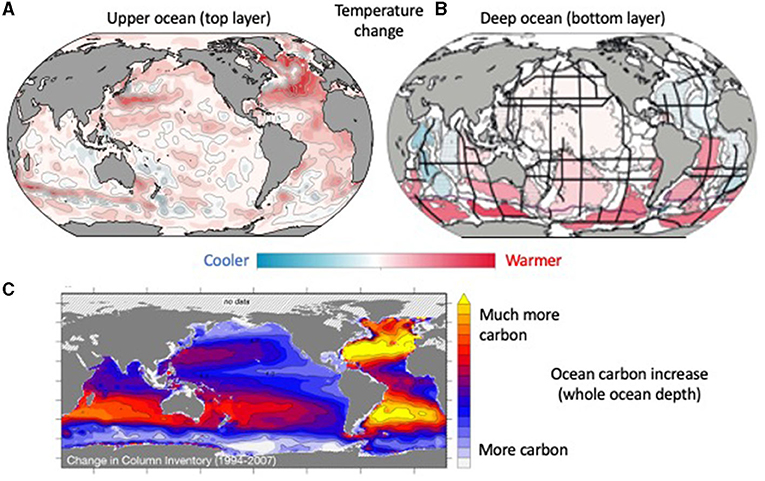Figure 1 - (A) The top layer of the ocean has warmed (red colors) based on our temperature measurements over 30 to 40 years.
