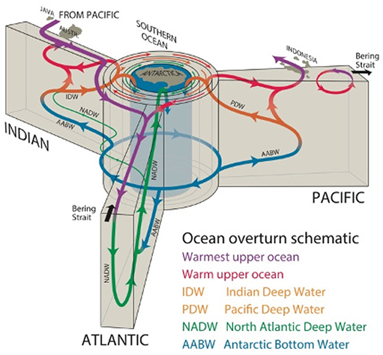 图2——推翻循环连接海洋表面和海底。