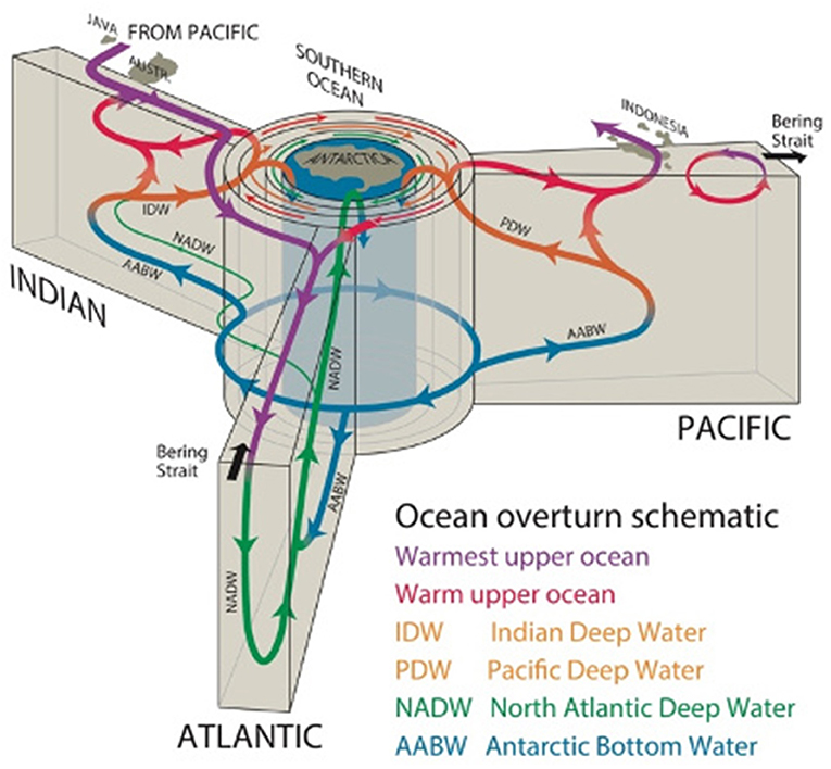 Figure 2 - The overturning circulation that connects the ocean surface and ocean bottom.